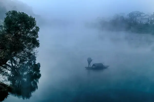 stock image fog in the forest