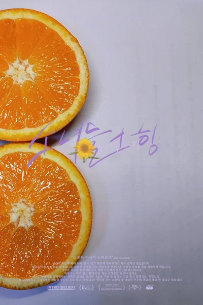orange juice and fruits on a white background