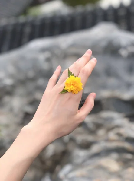 a woman's hand holding a flower in the hands of a child