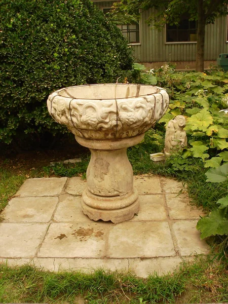 fountain in the garden