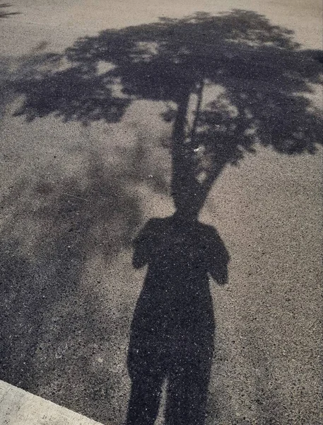 silhouette of a man with a black and white photo