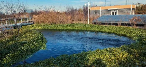 water irrigation system in the river