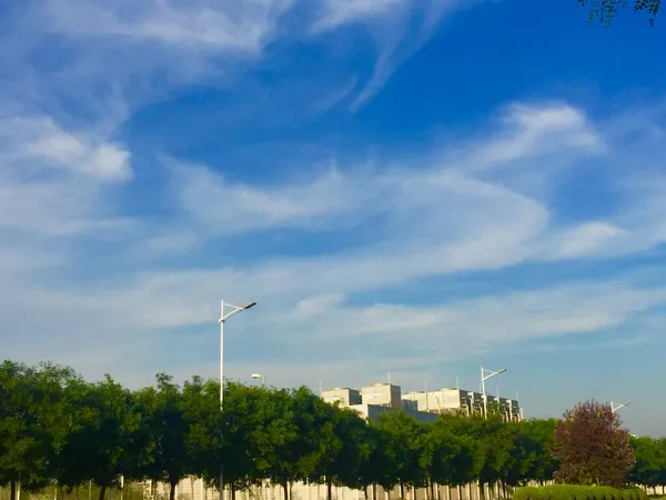 green power plant on a background of blue sky