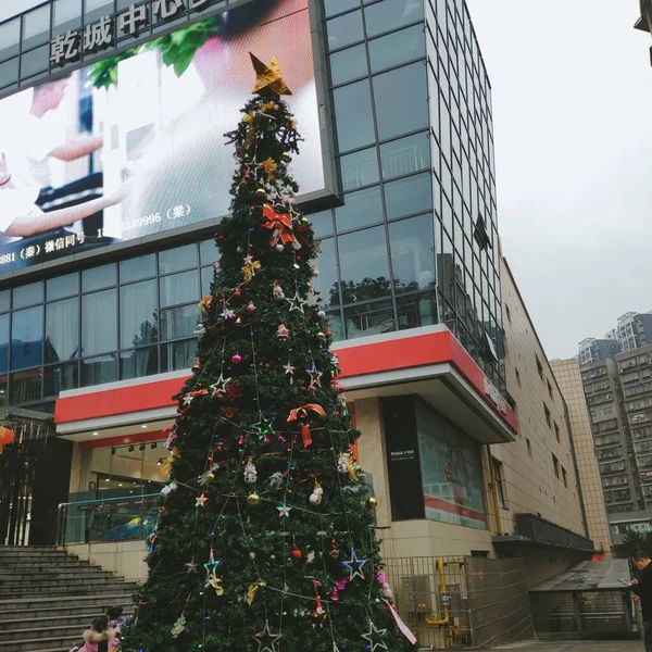 christmas tree in the city