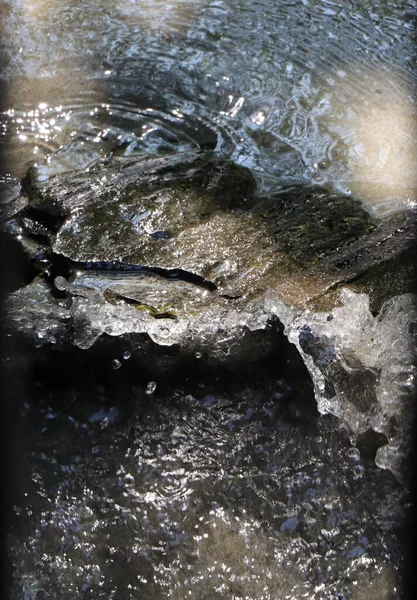 water drops on the rocks