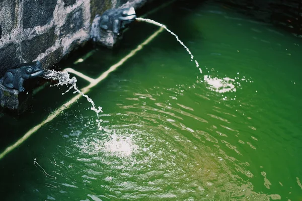 water drop on the rocks in the sea