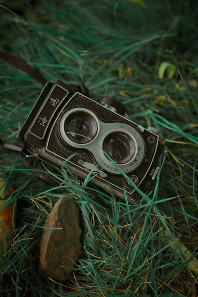 vintage camera with lens flare on the background of a green grass