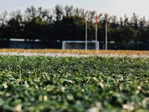 green grass and a football field