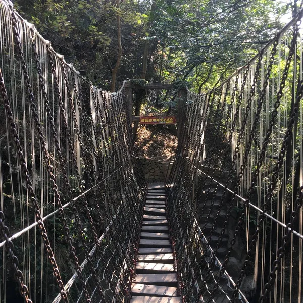 wooden bridge in the forest