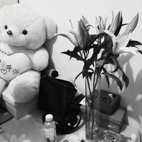 teddy bear with a gift box on a white background