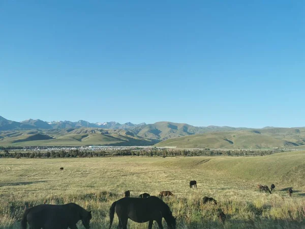 beautiful view of the nature of the valley