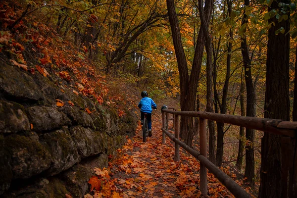 Vélo Enfant Retour Caméra Dans Campagne Octobre Paysage Terrain Parc — Photo