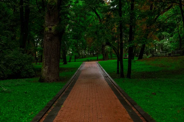 Dia Chuvoso Parque Quadrado Terra Estrada Reta Para Caminhar Atmosfera — Fotografia de Stock