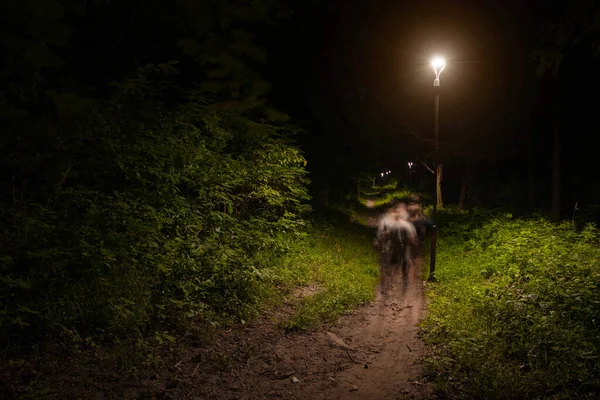Gece Parkı Manzarası Fener Işığı Altında Toprak Yalnız Geçit Soyut — Stok fotoğraf