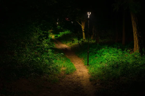 Gece Parkı Toprağı Sokak Feneriyle Yalnız Patika Elektrik Işığı — Stok fotoğraf