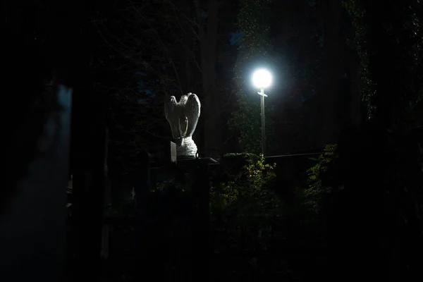 Nacht Friedhofsszene Mit Marmorstatue Des Engels Laternenlicht Dämmerung Schwarzer Umgebungsraum — Stockfoto