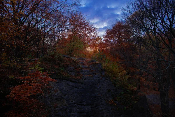 幻想的な風景岩や森の中の夕暮れの鮮やかな色水平線の日没の光と空間 裸の枝と秋の劇的な季節の時間 — ストック写真