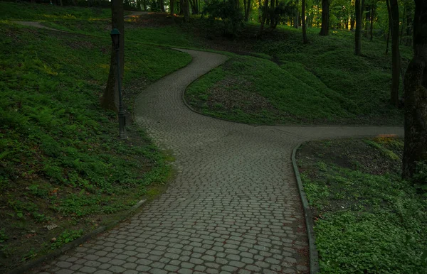 Trilha Curva Solitária Caminho Parque Entardecer Manhã Iluminação Tempo — Fotografia de Stock