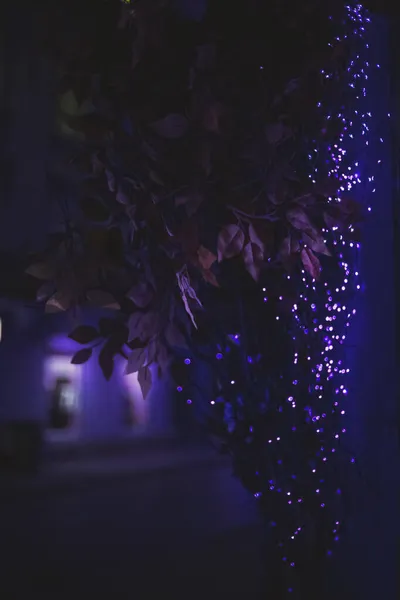 Nacht Straße Neon Lampen Lila Und Blaues Licht Retro Futurismus — Stockfoto