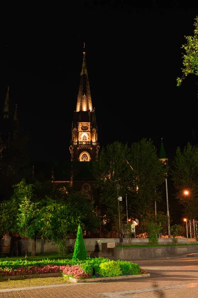 具有公园植物和大教堂塔楼宗教建筑 旅游景点的夜间地标广场的垂直图片 — 图库照片