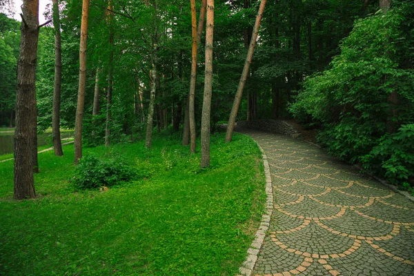 Parque Terra Paisagismo Projeto Lugar Tranquilo Com Árvores Estrada Beco — Fotografia de Stock