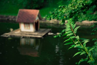 bahar yeşil çiçek bahçesi açık hava cennet bahçesi gölet ve kabini su üzerinde kuşlar için, ön plan yaprakları dalda, yumuşak odaklı konsept