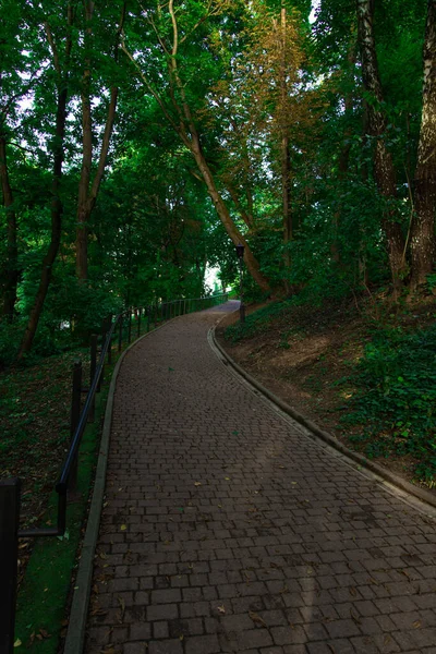 Wood Land Park Space Foot Path Road Walking Promenade Morning — Stockfoto