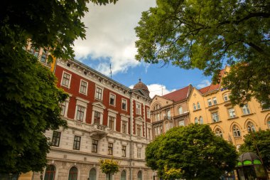 Ukrayna 'nın Lviv Batı Parkı' nın eski Avrupa şehir simgesi seyahat noktasının ortaçağ mimarisi. İlkbahar günü ağaçların yapraklarının ön planda olduğu doğal çerçeve.