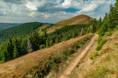 Dağ ormanı manzarası. Dağlık arazi. Turistler için toprak patika ve bulutlu arka plan alanı.