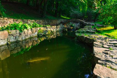 Park arazisi manzaralı gölet havuzu taştan çerçevelenmiş bahar sabahı huzurlu bir manzara.