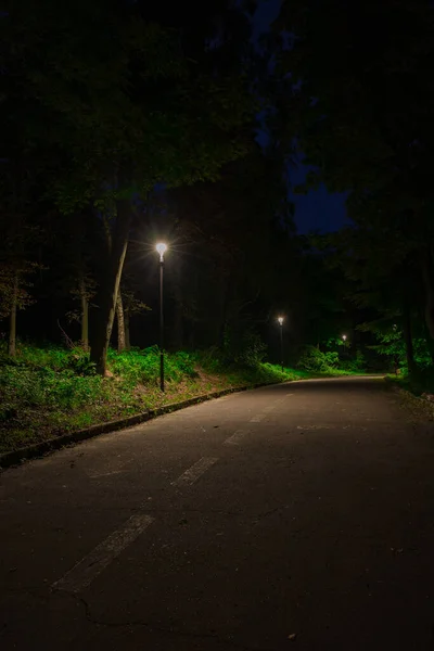 夜间路灯照明公园汽车路的垂直摄影 — 图库照片