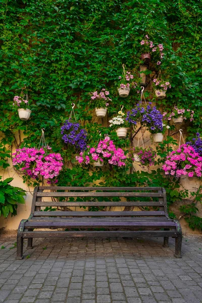 Spring Time Garden Blossom Vertical Photography Wooden Bench Blooming Purple — Foto Stock