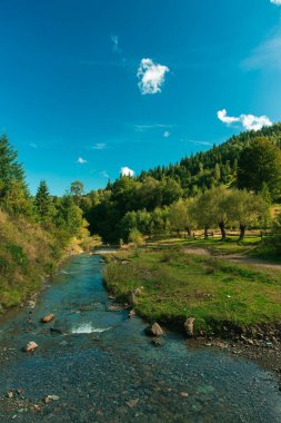 Cennet manzarası dağlık çayır dağları yeşil çimenler ve nehir huzurlu ve görkemli bahar manzarası kırsal çevre manzarası, dikey fotoğrafçılık