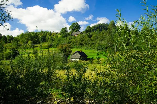 Sommer Landschaft Ländliche Malerische Ansicht Land Seite Von Slowenien Hochland — Stockfoto