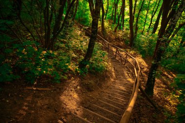 Sakin park manzaralı ağaçlar ve ahşap merdivenlerle manzara manzarası yukarıdan aşağıya doğru öngörü, gün batımından önce atmosferik güneş ışığı