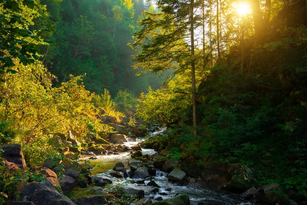 Sole Sorgere Luce Calda Della Stagione Primaverile Del Mese Aprile — Foto Stock