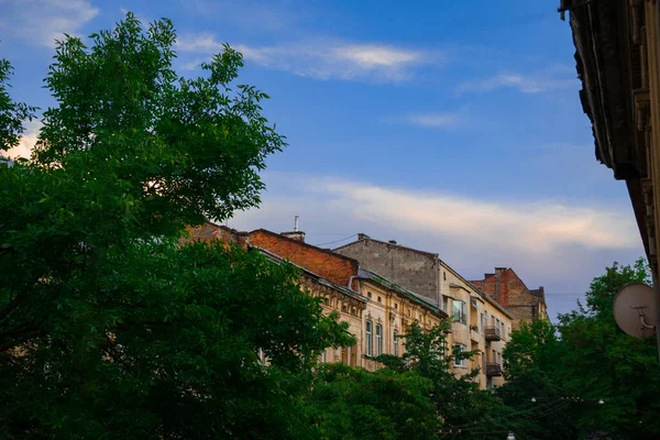 Doğu Avrupa 'da eski şehir binası Yazın yeşil şehir caddesi Açık gündüz