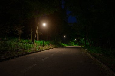 Yalnız, korkunç asfalt yolu ve sokak lambası ışık efektiyle doğal gece parkı.