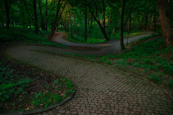 Gepflasterter Geschwungener Weg Park Malerische Natürliche Landschaftlich Reizvolle Ansicht Des Stockbild