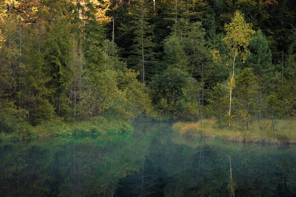 雾蒙蒙的森林湖泊多愁善感宁静的大气自然环境空间景观静谧的水面烟熏前景松树林背景 — 图库照片