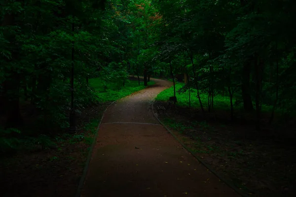 Park Stopy Stopy Pěšina Asfalt Silnice Křivolaká Cesta Mezi Živou — Stock fotografie