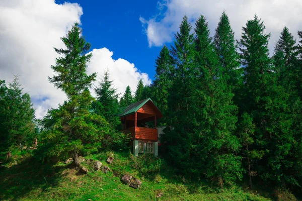 Holzbau Hütte Natürlichen Waldrand Umwelt Raum Bei Klarem Wetter — Stockfoto