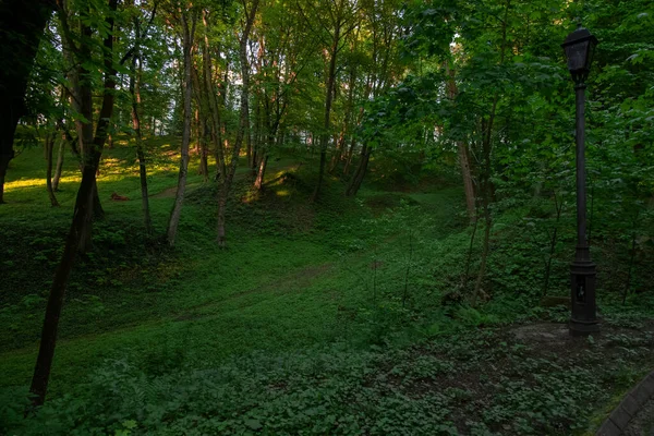 Park Venkovní Léto Ráno Prostředí Scénické Pohled Lucernou Zelená Tráva — Stock fotografie