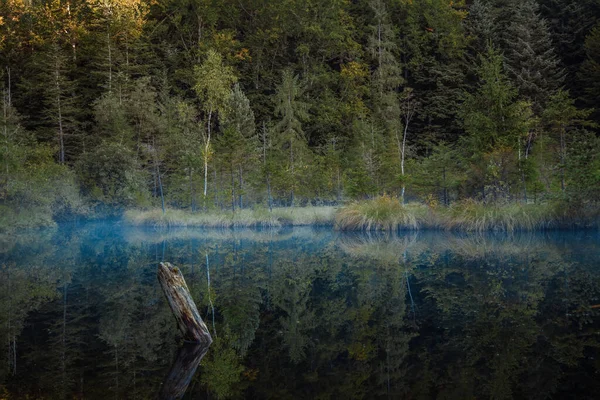 Misty Smoke Tranquil Lake Water Surface Woods Atmospheric Wilderness Landscape — Stock Photo, Image