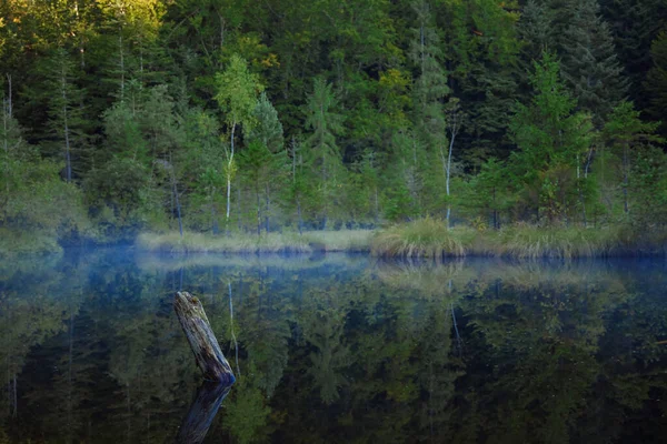 和平的森林景观 湖面烟雾弥漫 秋天的自然景观 — 图库照片