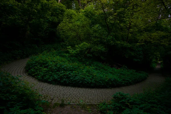 Outskirts Beautiful Natural Place Curved Trail Walking Green Foliage Forest — Fotografia de Stock