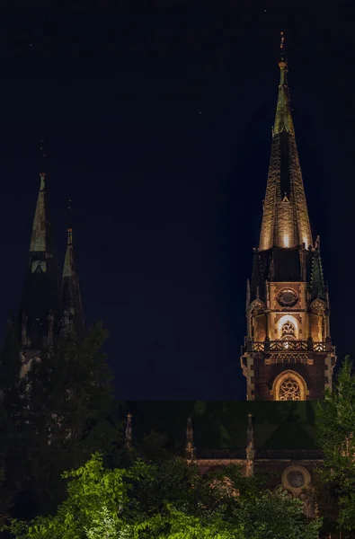 旧城区大教堂塔建筑物体夜间垂直摄影 灯饰明亮 — 图库照片