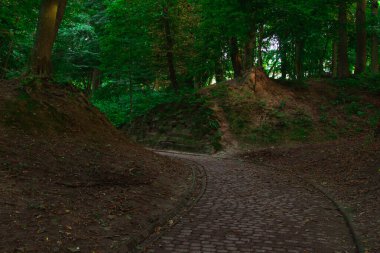 pavement trail for walking in autumn park of clear weather day September season time in beautiful park with hills of the ground