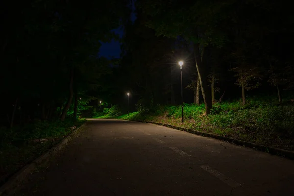 公园户外夜景景致景观 公共柏油路 供车灯及路灯使用 — 图库照片