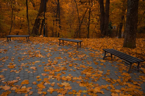 atmospheric peaceful October square space in Halloween season with benches and falling leave